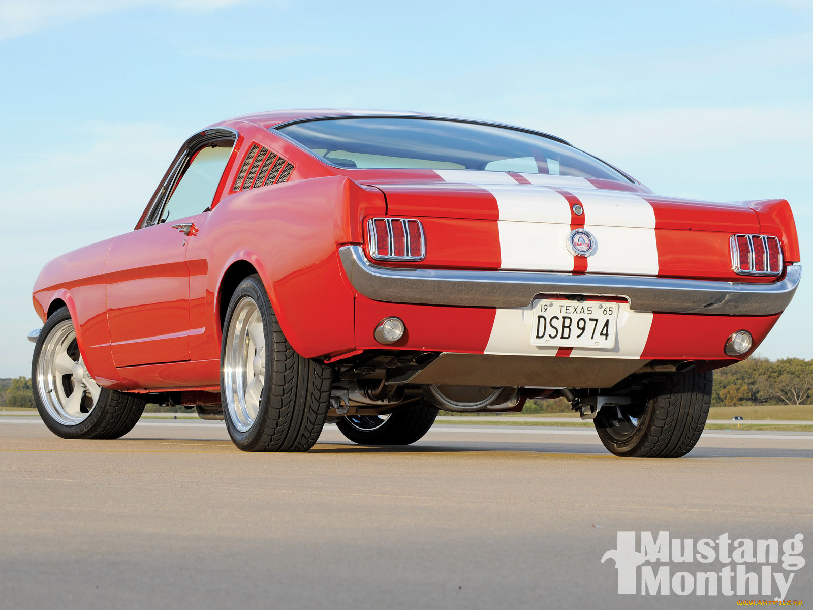 , mustang